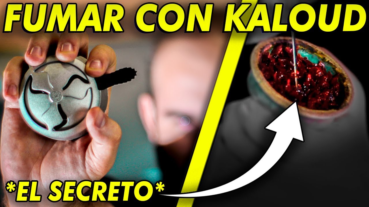 Aprende TODO sobre KALOUD 🤯