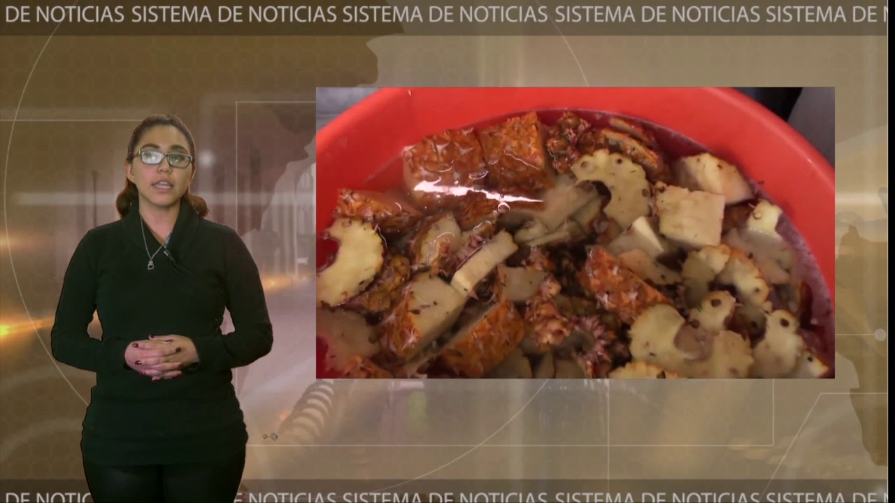 &iquest;Sabe usted todos los beneficios que tiene el Tepache?