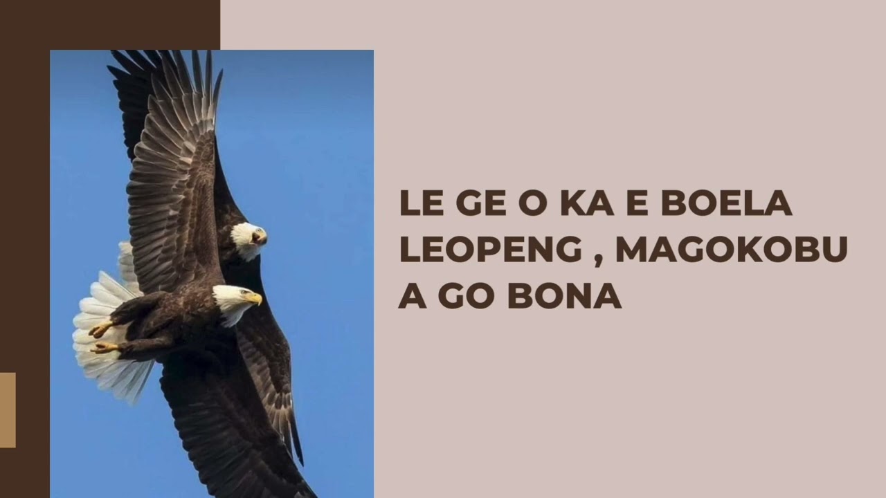 I am sharing some of my favourite Sepedi language idioms that we use when speaking on a daily basis