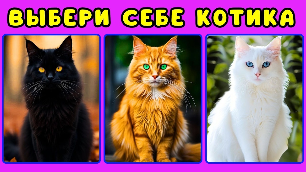 Выбери себе КОТИКА😻Выбирашки челлендж ЖИЗА