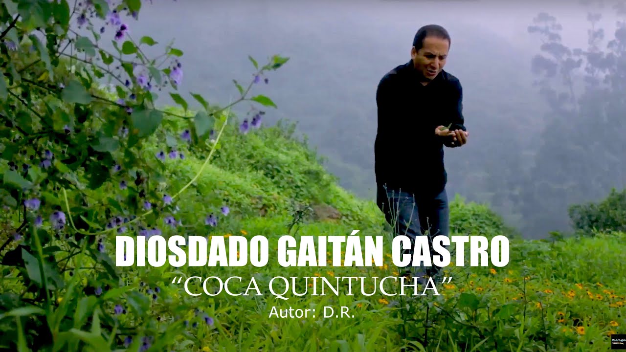 Coca Quintucha - Diosdado Gaitán Castro.