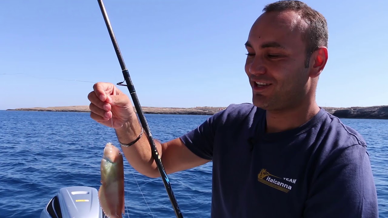 Qui Come si fa - Bolentino Sabbioso (Italcanna)