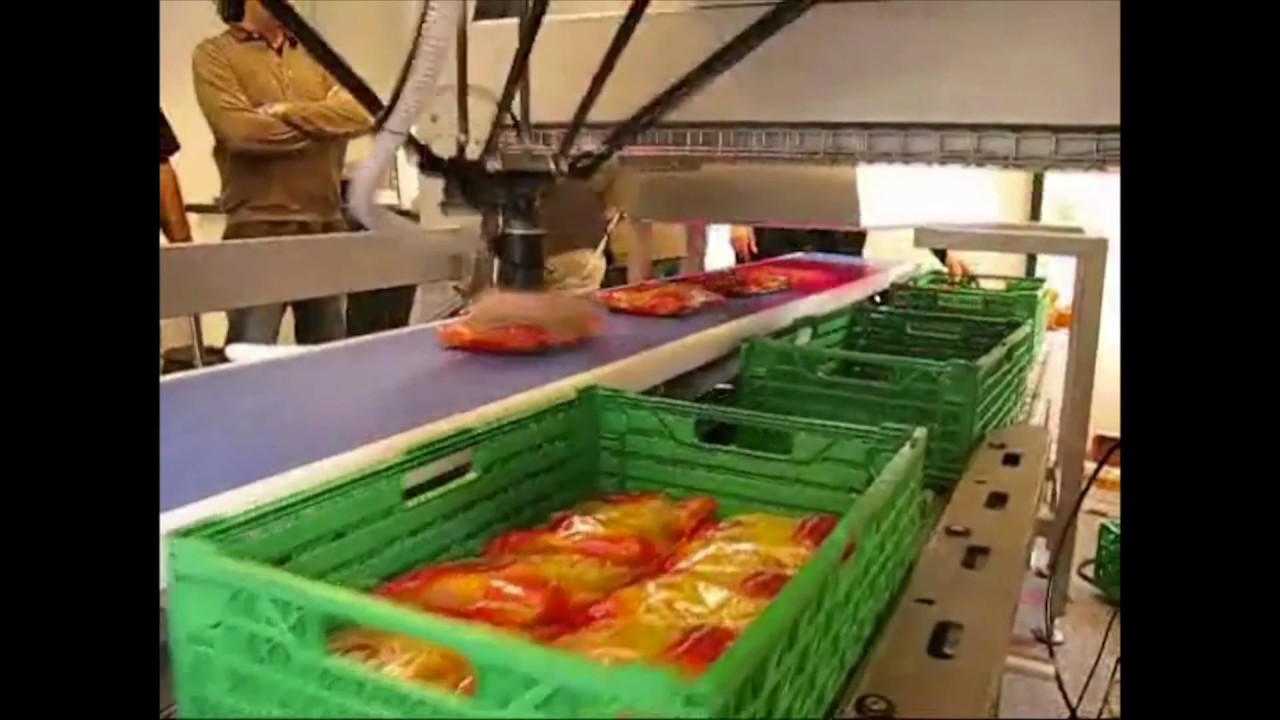Primary & Secondary Food Packaging with Adept Robotics