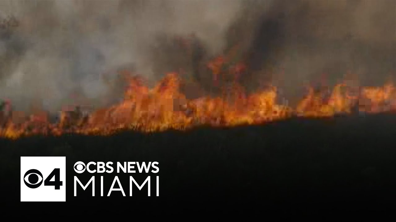Brush fire continues to burn in South Miami-Dade, rush hour traffic seeing major impacts | Quickcast