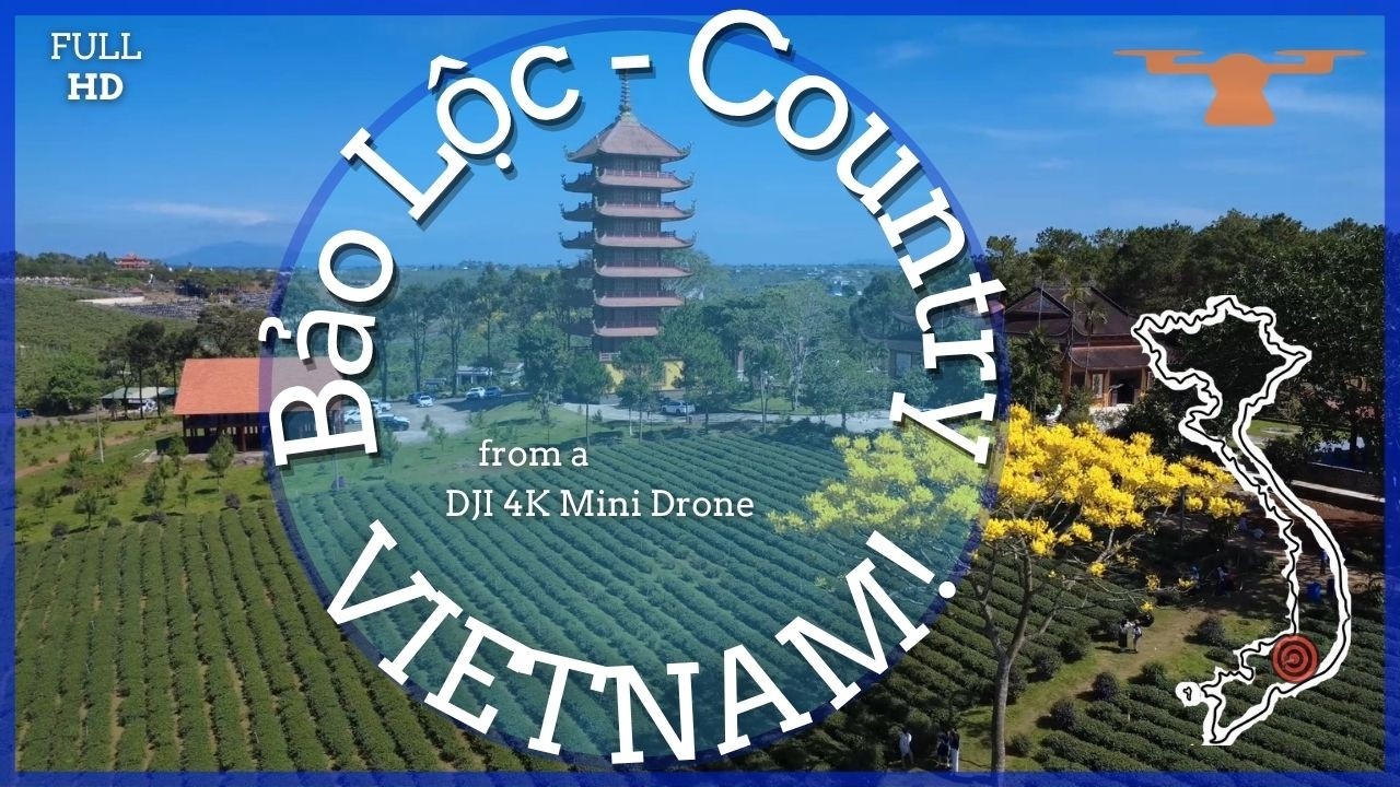 FHD Relaxing Drone video around Bảo Lộc, Việt Nam. Tea, coffee, Damb'ri and Golden Phoenix Trees.