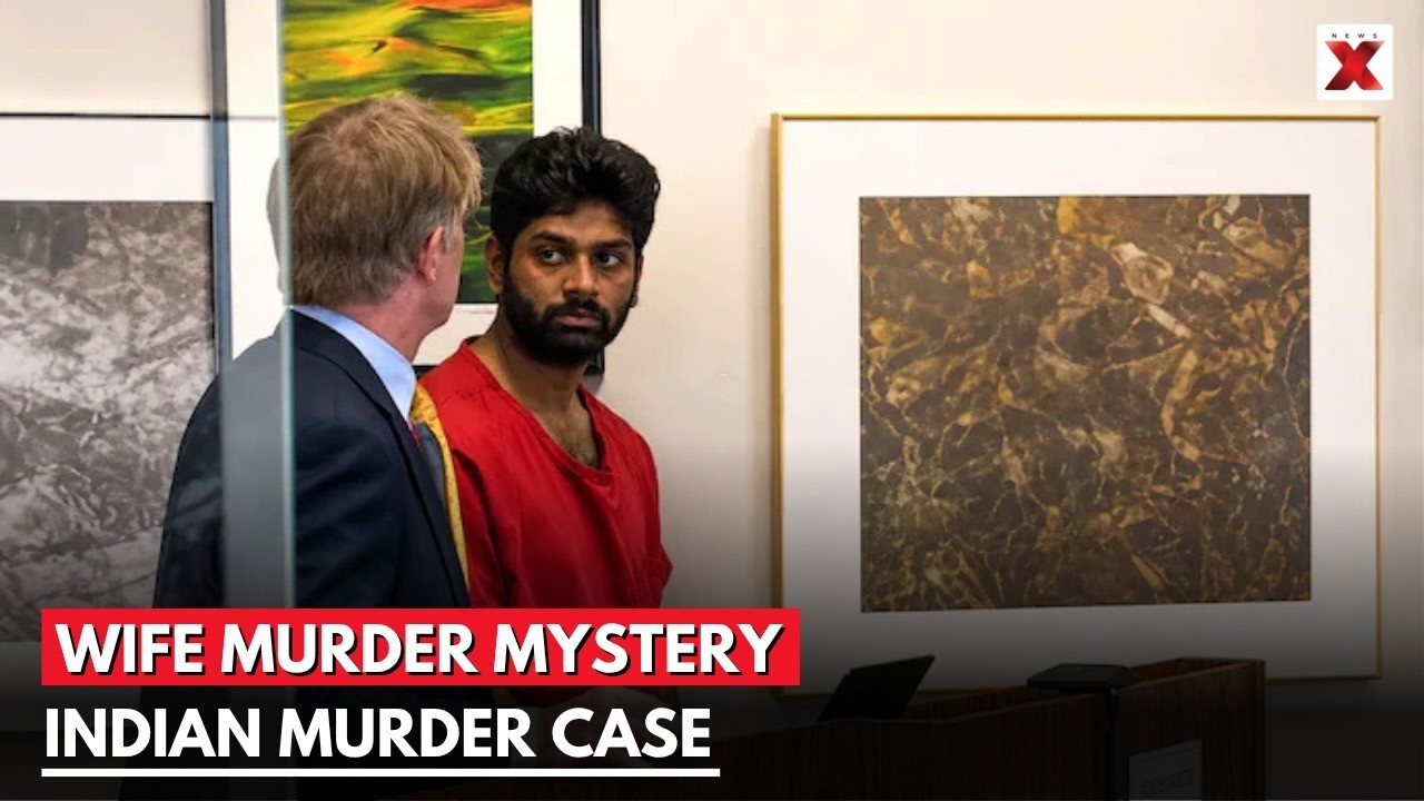 INDIAN TECHIE HELD IN US FOR WIFE'S MURDER