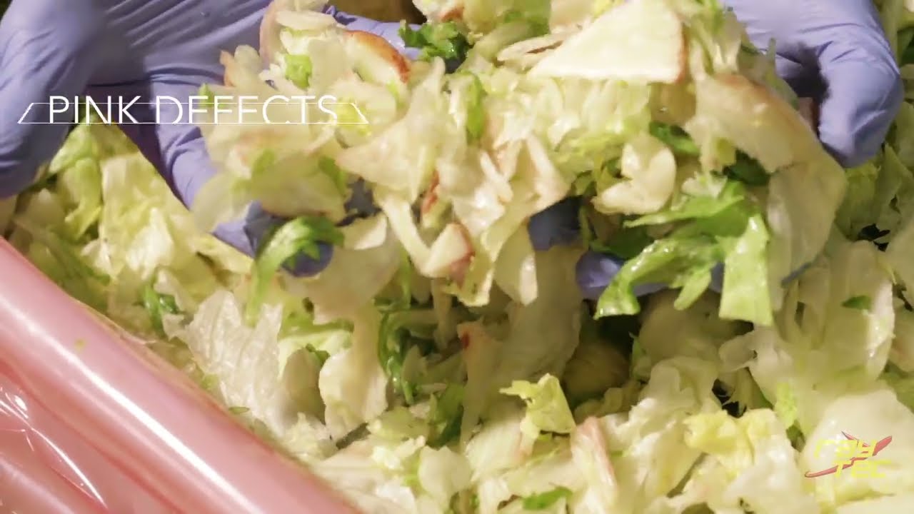 Discovery optical sorting machine for iceberg salad | RAYTEC VISION SpA