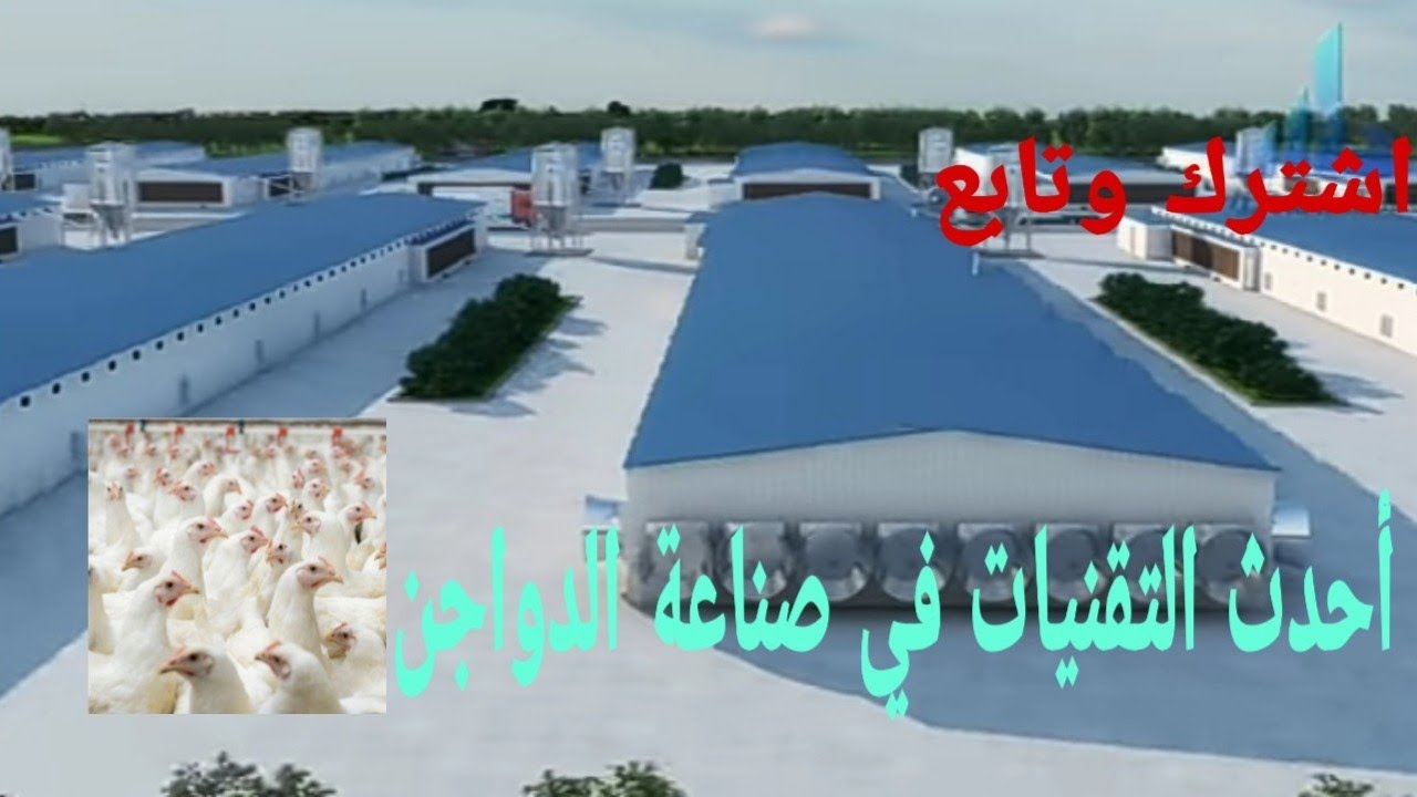 #دواجن_تي_في شاهد ماذا يحدث حين تتدخل التكنولوجيا في مزارع الدواجنSee the modern poultry industry
