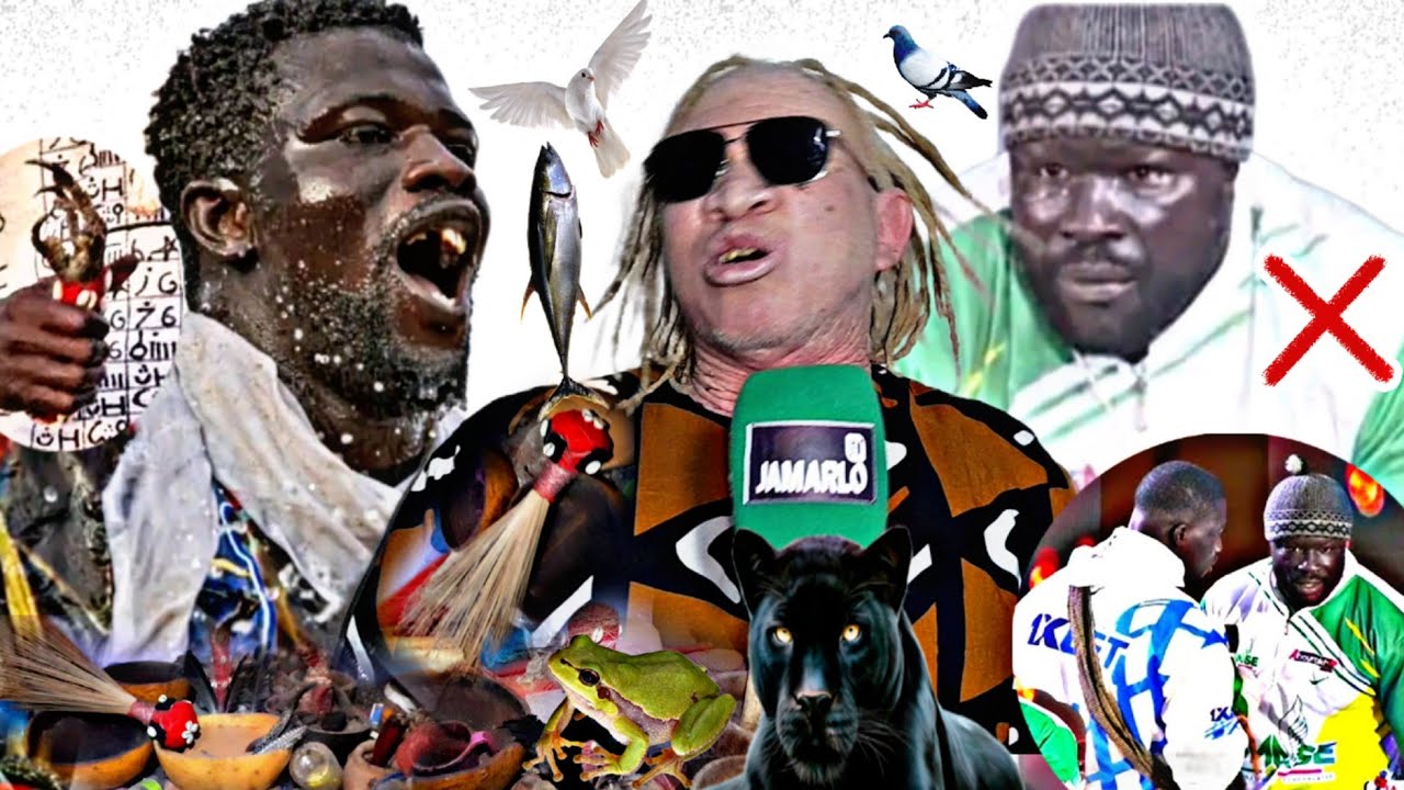 Cëy mouss bi Talpha lalal Ama Nekh Serigne Khadim nena mystique bou doy war la