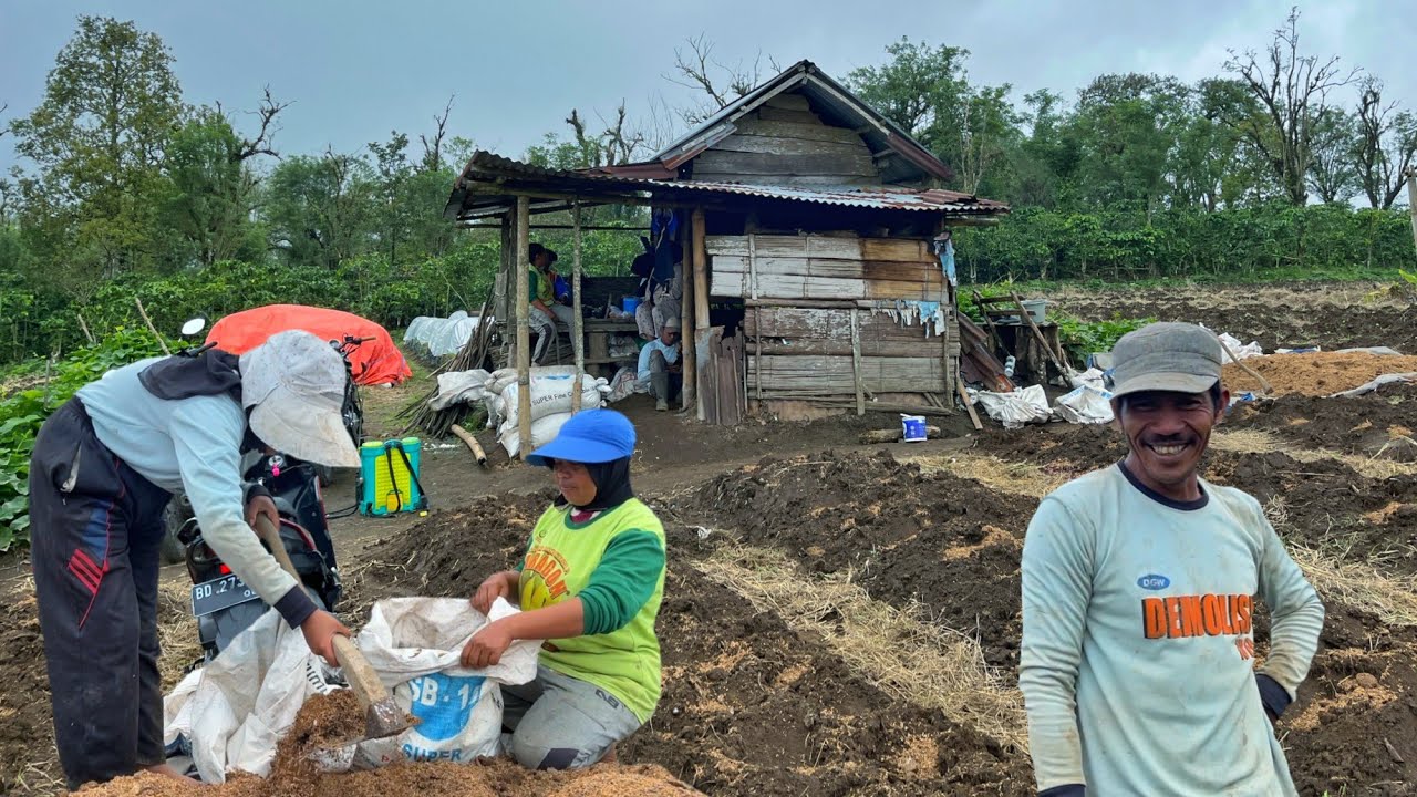 Kehidupan Suku Jawa Di Pelosok Bengkulu Sumatera