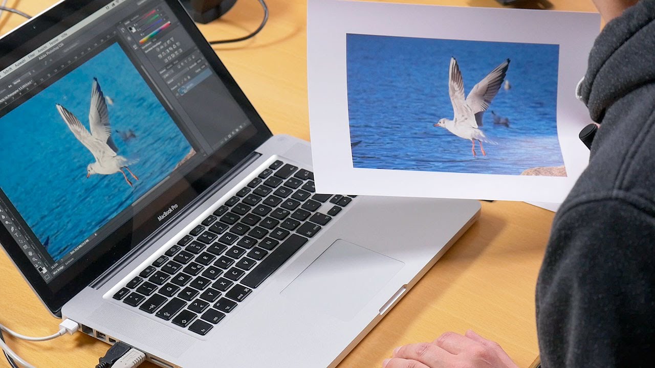 Fotodrucker kalibrieren – Blende 8 – Folge 152