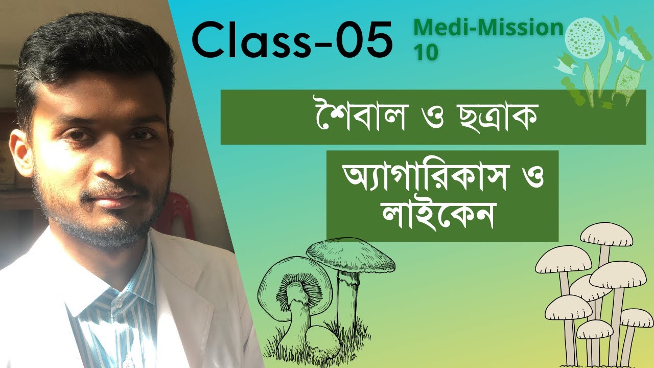 MediMission-10: শৈবাল ও ছত্রাকঃ অ্যাগারিকাস ও লাইকেন