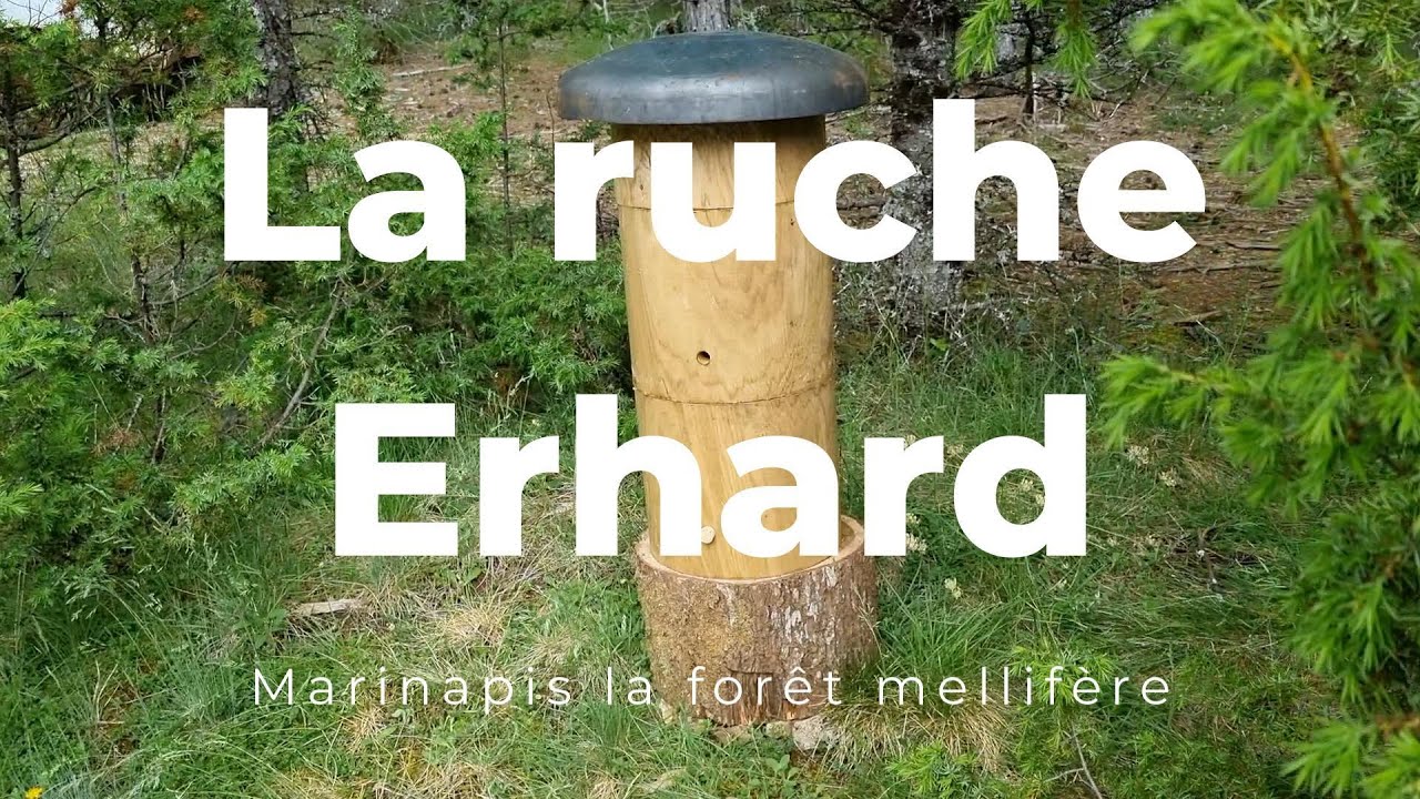La ruche 