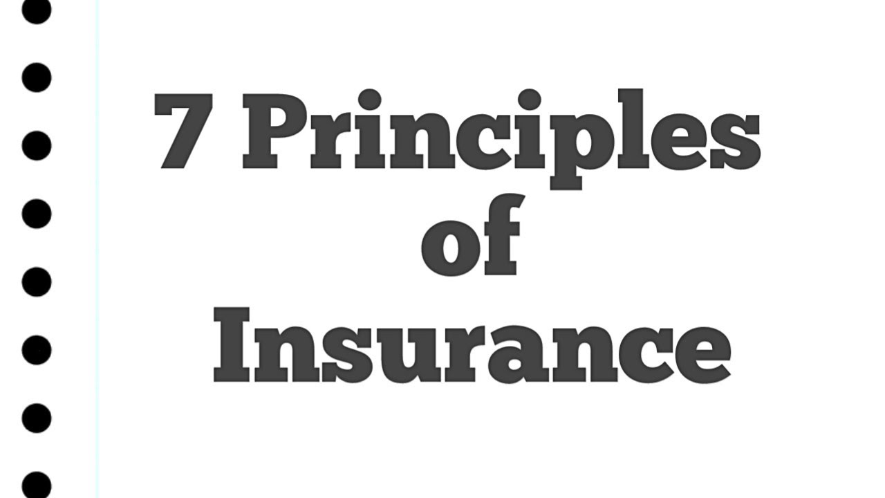 Insurance principles l principles of insurance l what are the 7 principles of insurance?