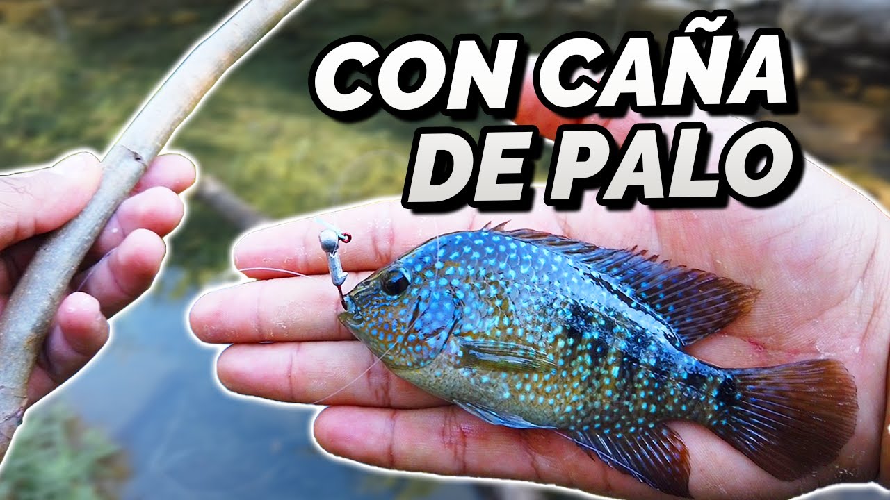 PESCA DE MOJARRAS con una CA&Ntilde;A DE PALO 😂