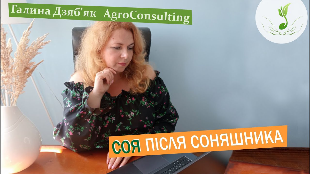 Соняшник попередник під сою. Чого чекати?
