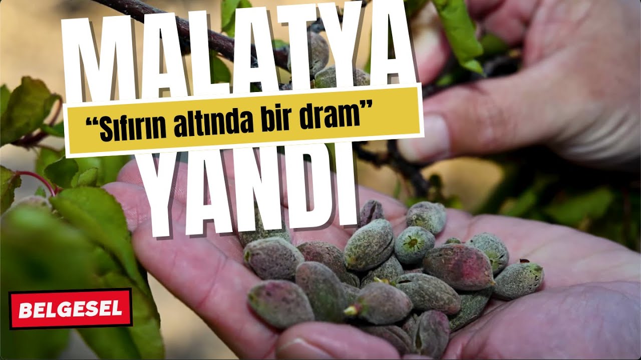 Malatya Yandı (Belgesel)