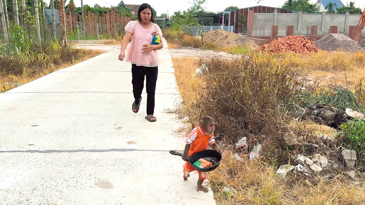 Too Cute to Miss! CUTIS and Baby Monkey Get Busted Cooking Outdoors
