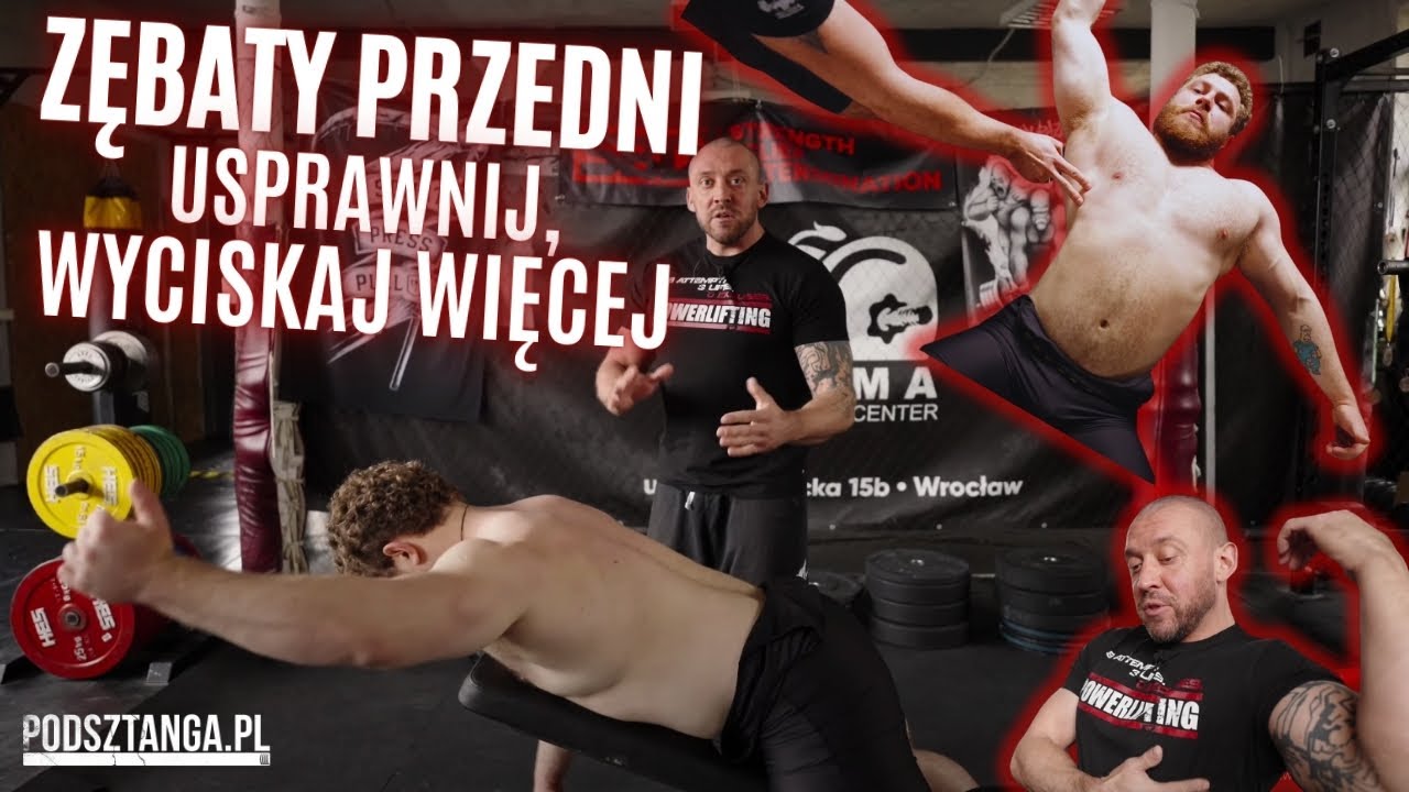 Zębaty przedni- jeśli chcesz dużo wyciskać musisz go wytrenować