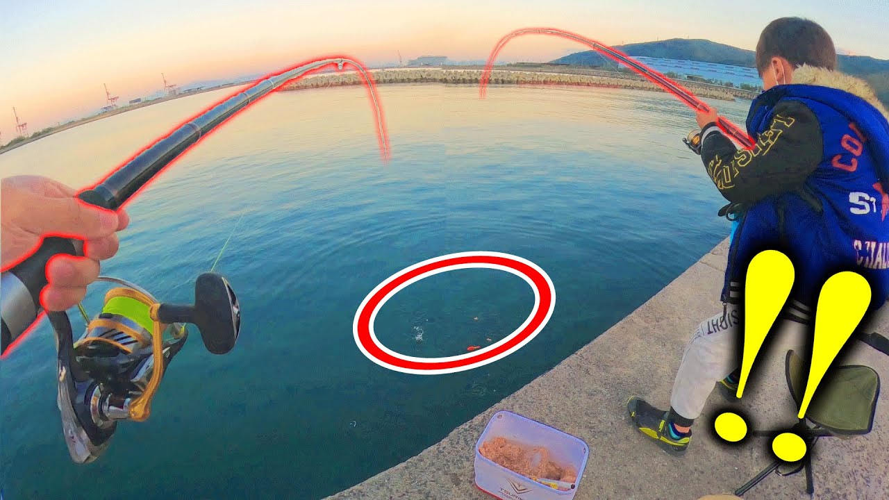 この釣り場がヤバい!!!!!!!!!!