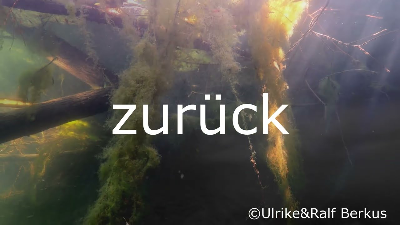 zurück