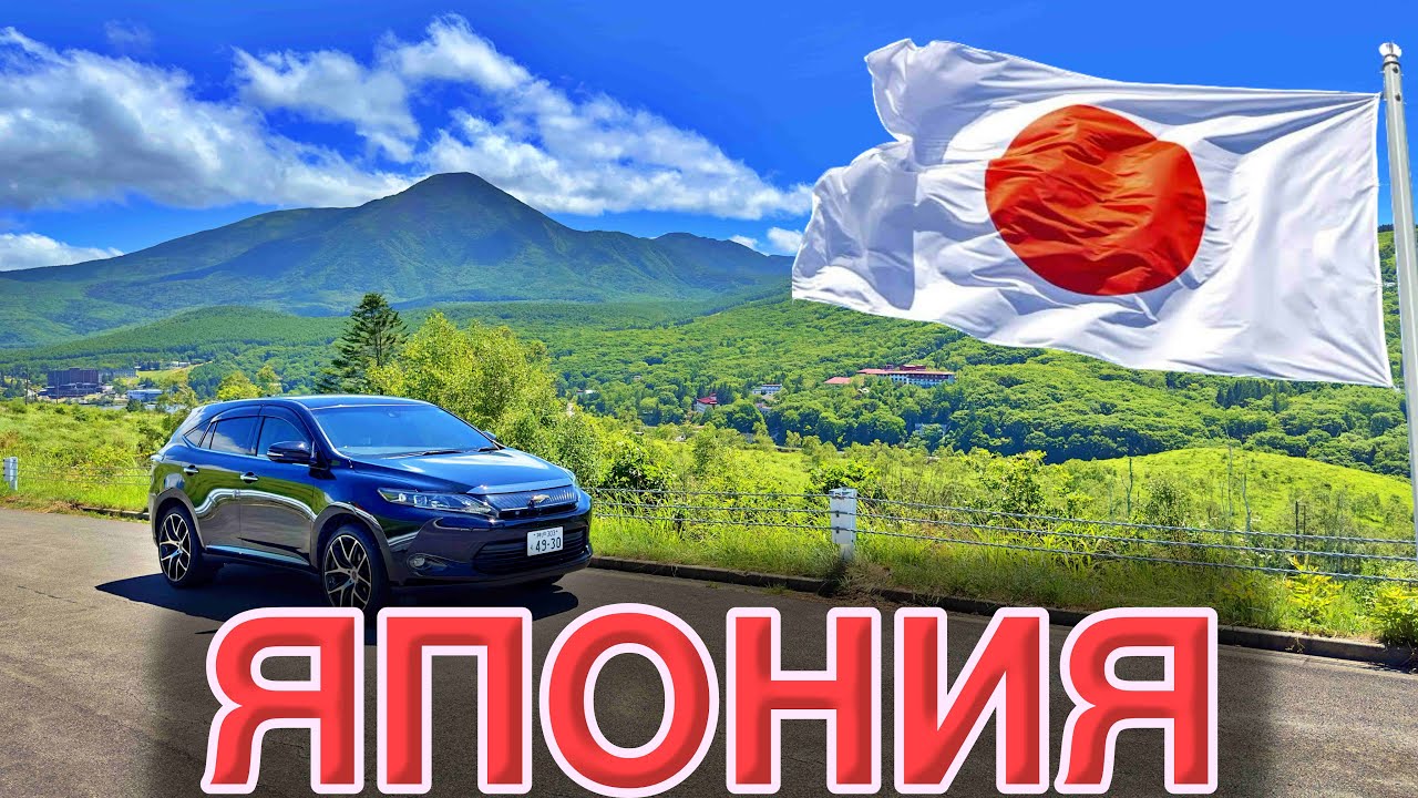 Город Нагано | берёзы в Японии