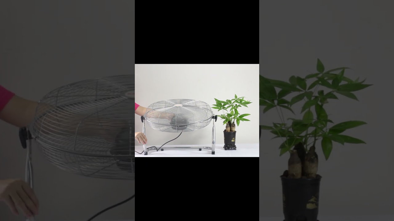 High-powered floor fan #fan#floor fan #High-powered floor fan