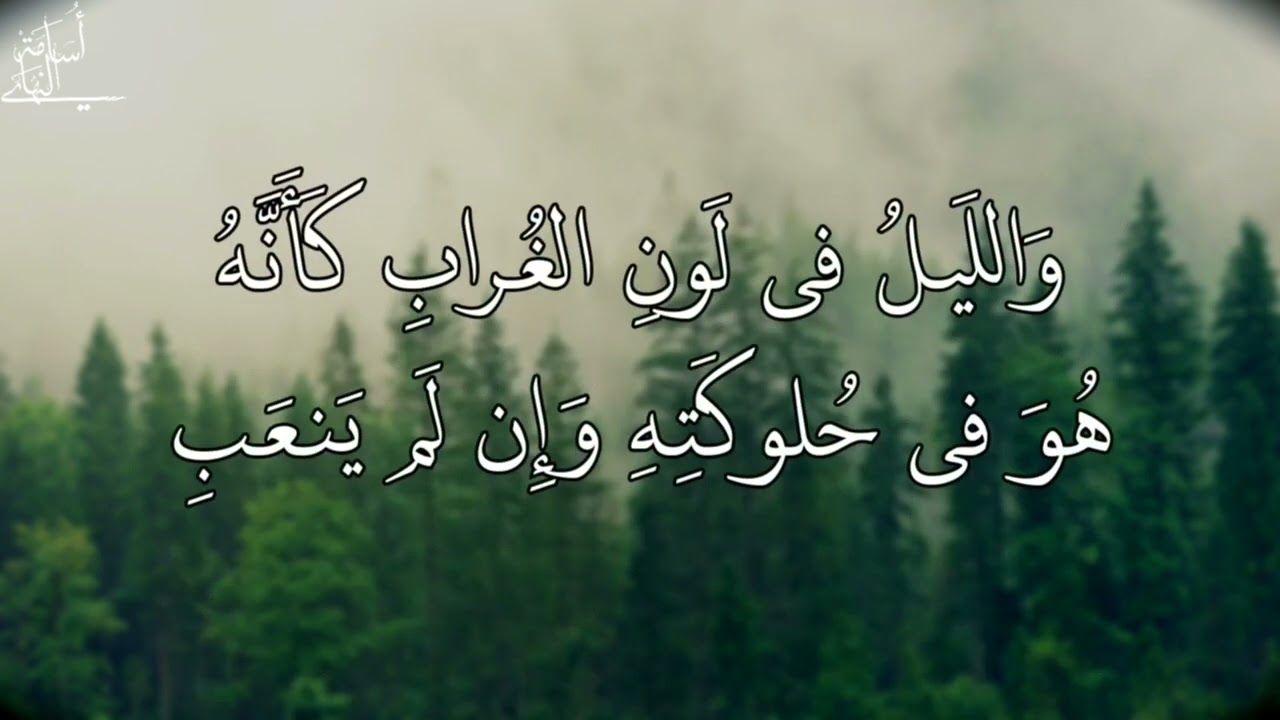 رحلوا فأيَّةُ عبرةٍ لم تُسكبِ | البحتري | حداء: أسامة النهاري