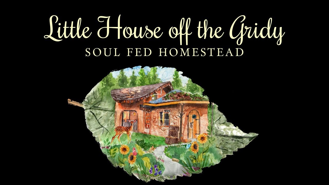 Our Homesteading Journey | Homesteading Vlog | Off Grid Living | Little House Off The Gridy