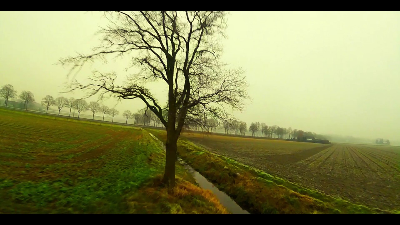 Testing Dshot 600 Racerstar 30a V2 Last-flight 2016