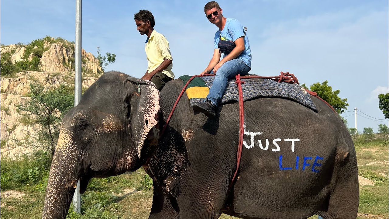 Riding an Elephant around Elephant Village - Jaipur, Rajasthan, India 🇮🇳