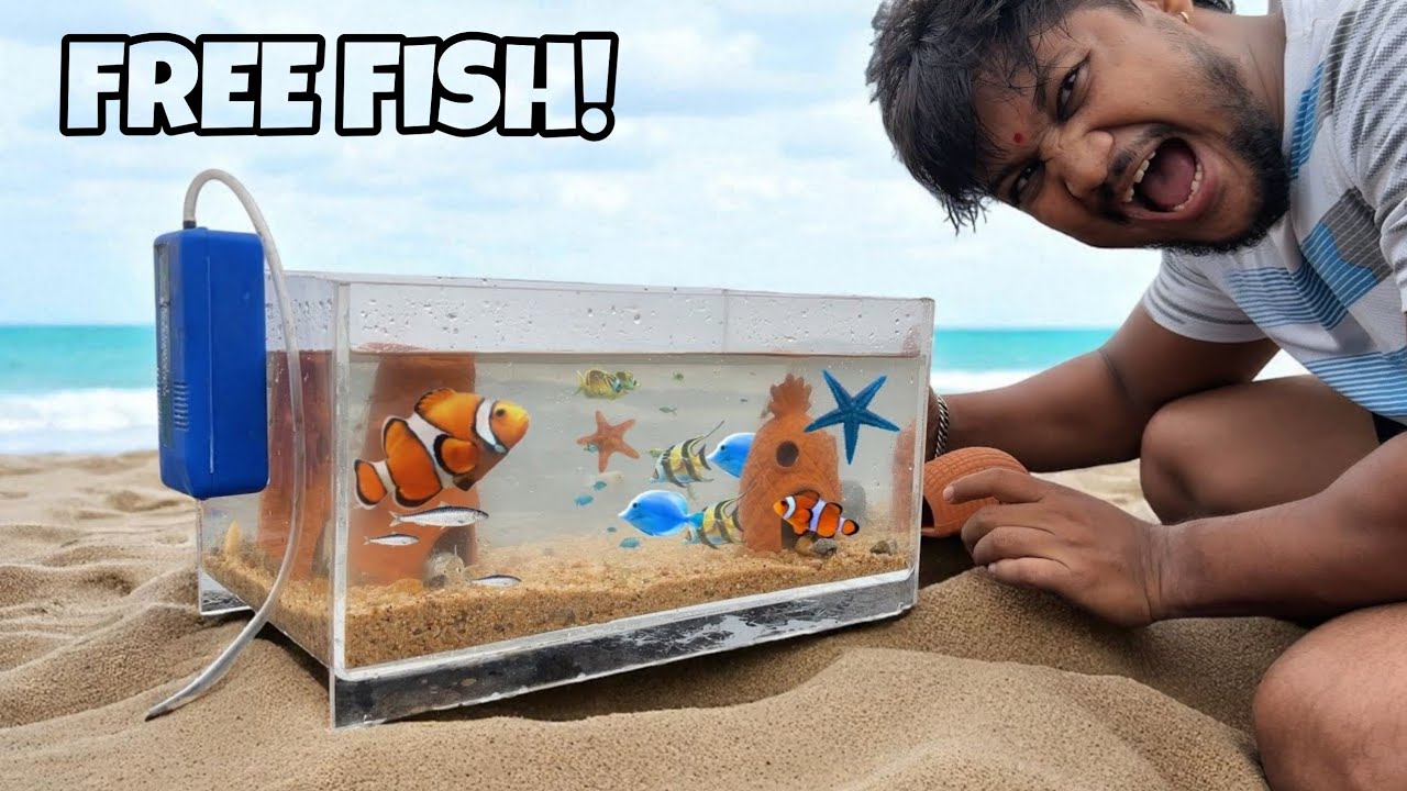 Yaha Itni Fish Thi&hellip; Believe Nahi Hoga! | BEACH AQUARIUM!!