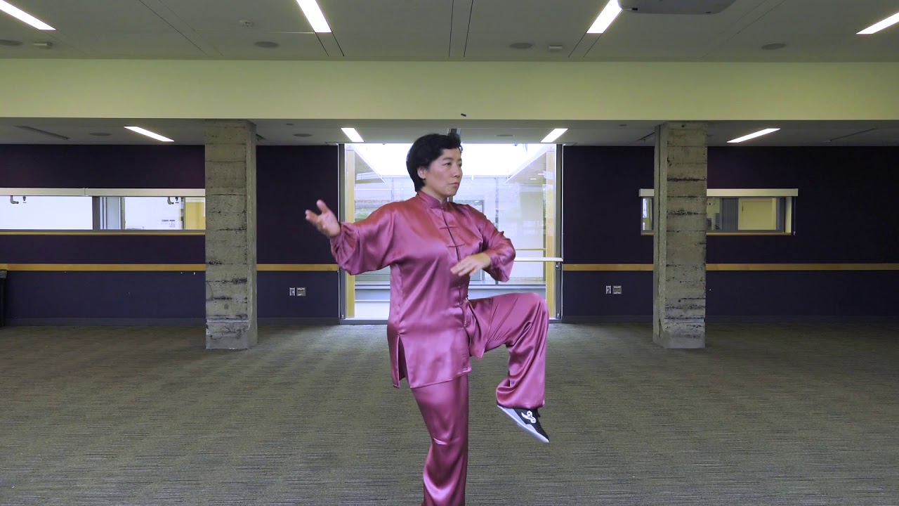 Chen Style Taichi 18 Forms (front) by Yijiao Hong 陈正雷宗师入室弟子洪一姣陈氏太极18式