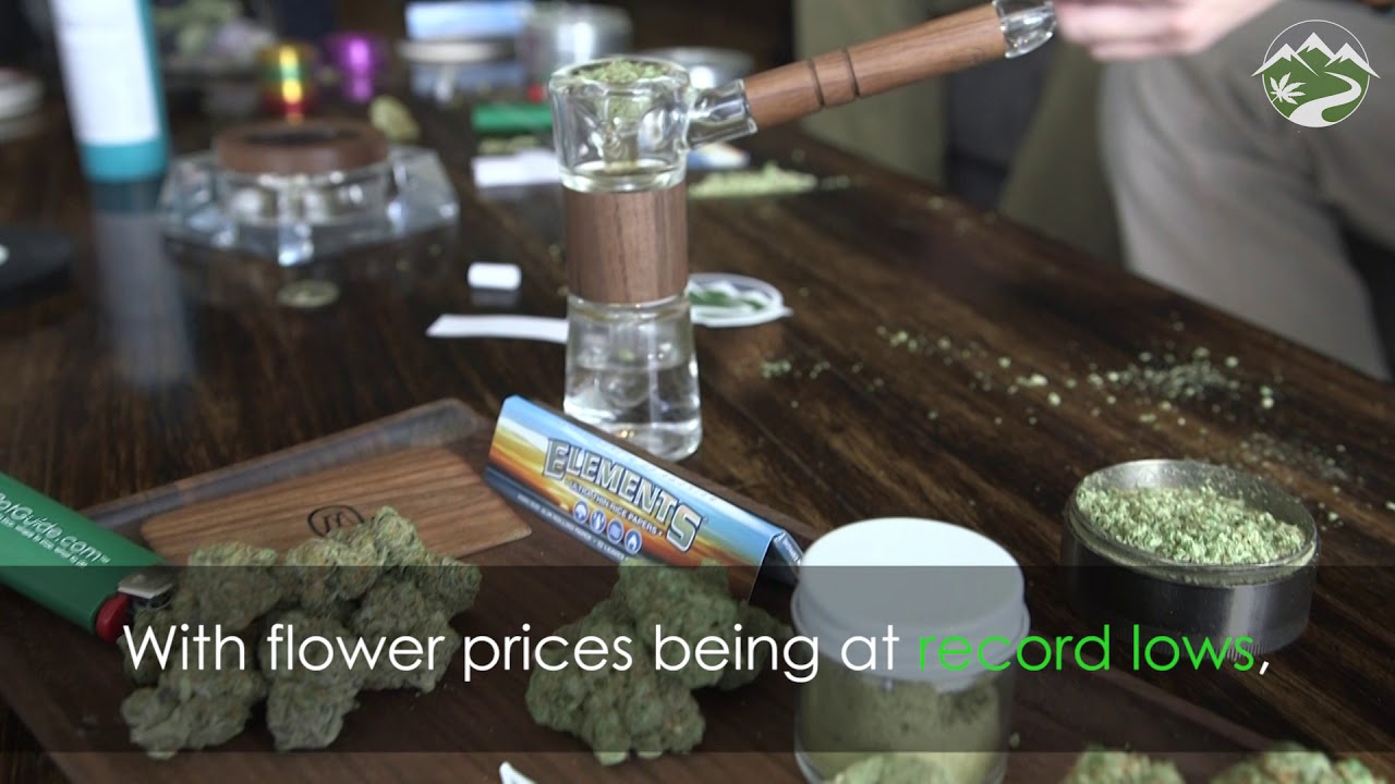 Are Concentrates Becoming More Popular Than Flower?