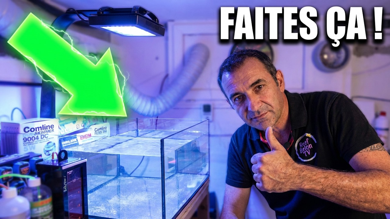 un shallow reef low tech a la maison