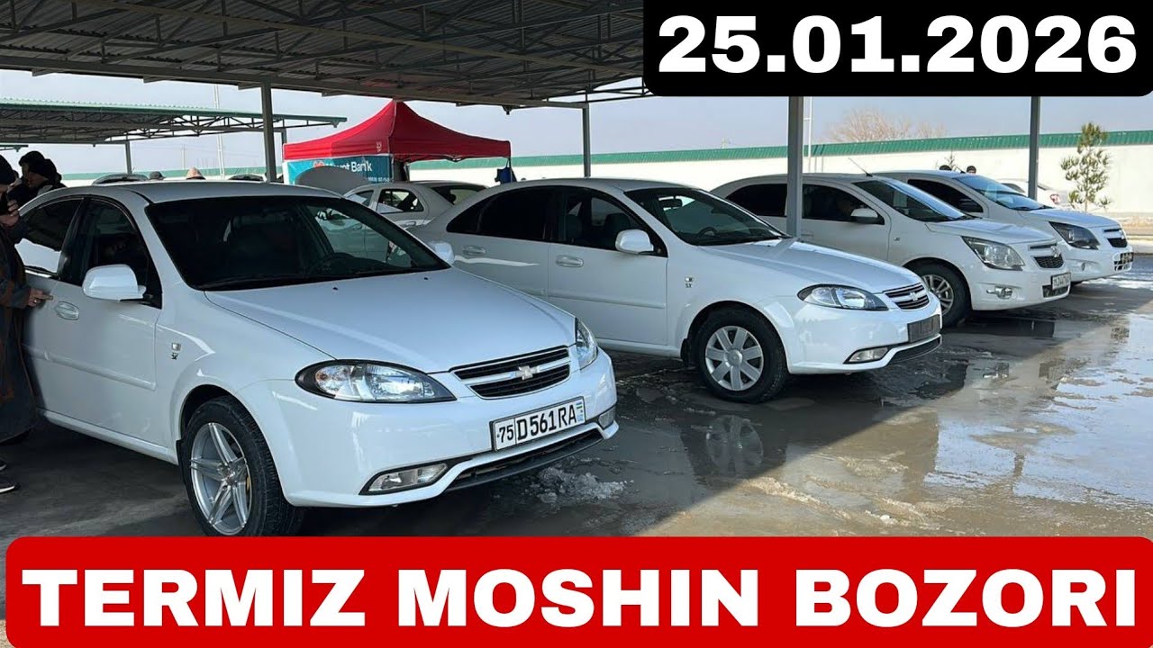TERMIZ MOSHIN BOZORI 