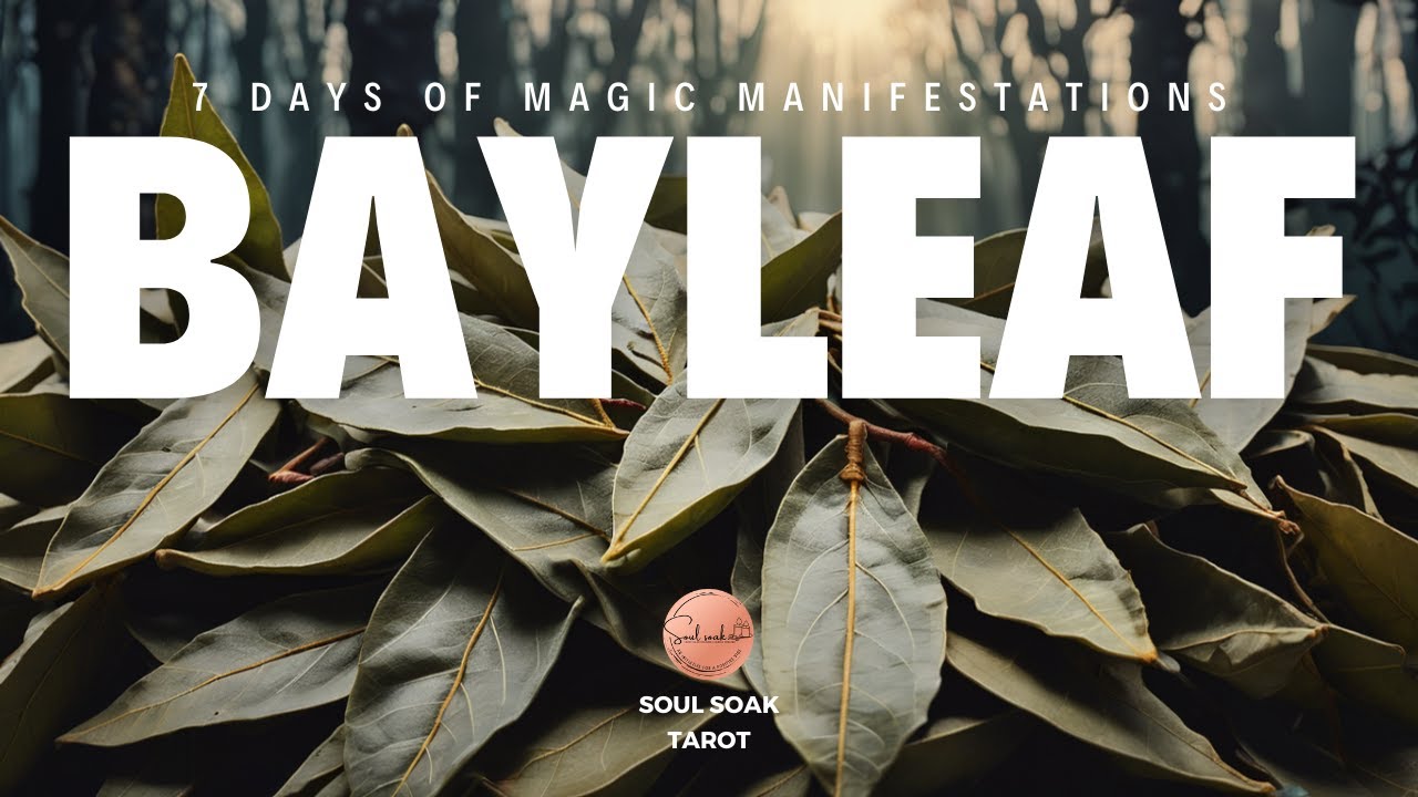 🍃Manifest Your Dreams: 7 Days of Bay Leaf Magic | Attract Abundance, Dream Partner, Luck, Health🍃