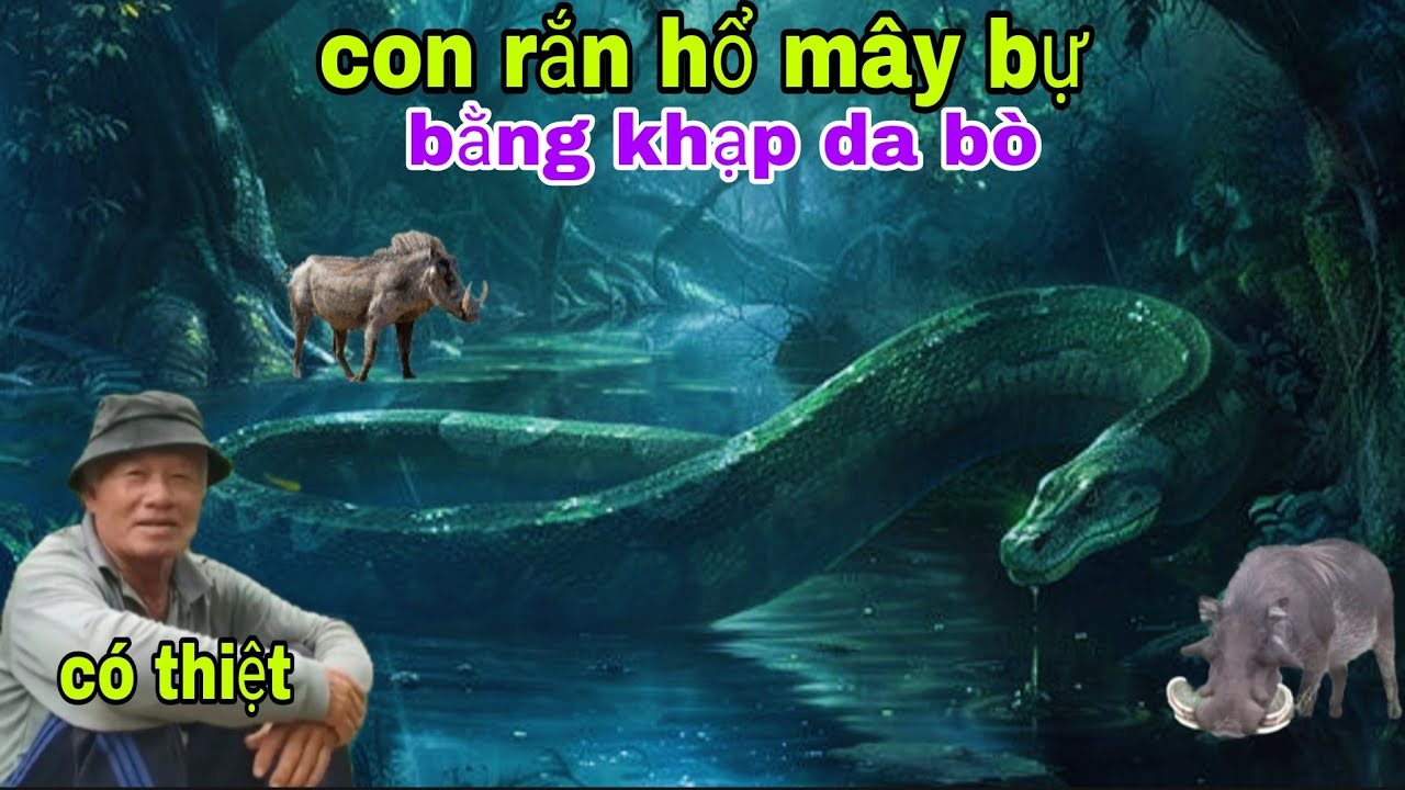 ông cậu sống ở vùng bảy núi thất Sơn kể lại rắn hổ mây bằng hạt da bò và nhiều thú dữ rùng rợn