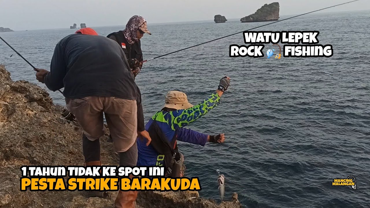 PANEN IKAN BARAKUDA - SETELAH 1 TAHUN TIDAK KE SPOT WATU LEPEK - MM Eps. 181