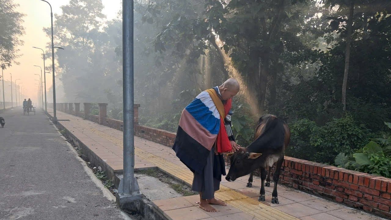 SÁNG 29 _1 LUMBINI CÓ GÌ ?