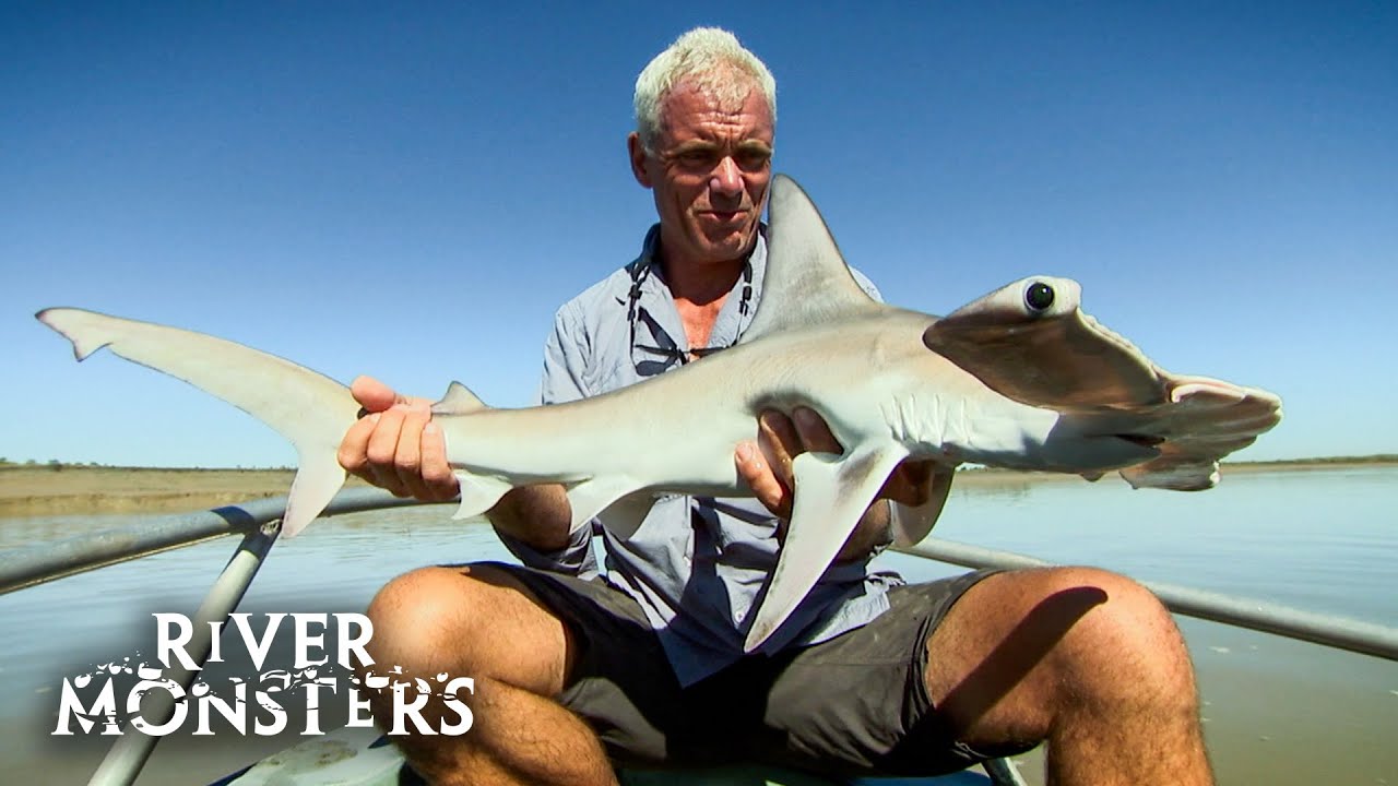 The Animals Facing Extinction Caught On River Monsters