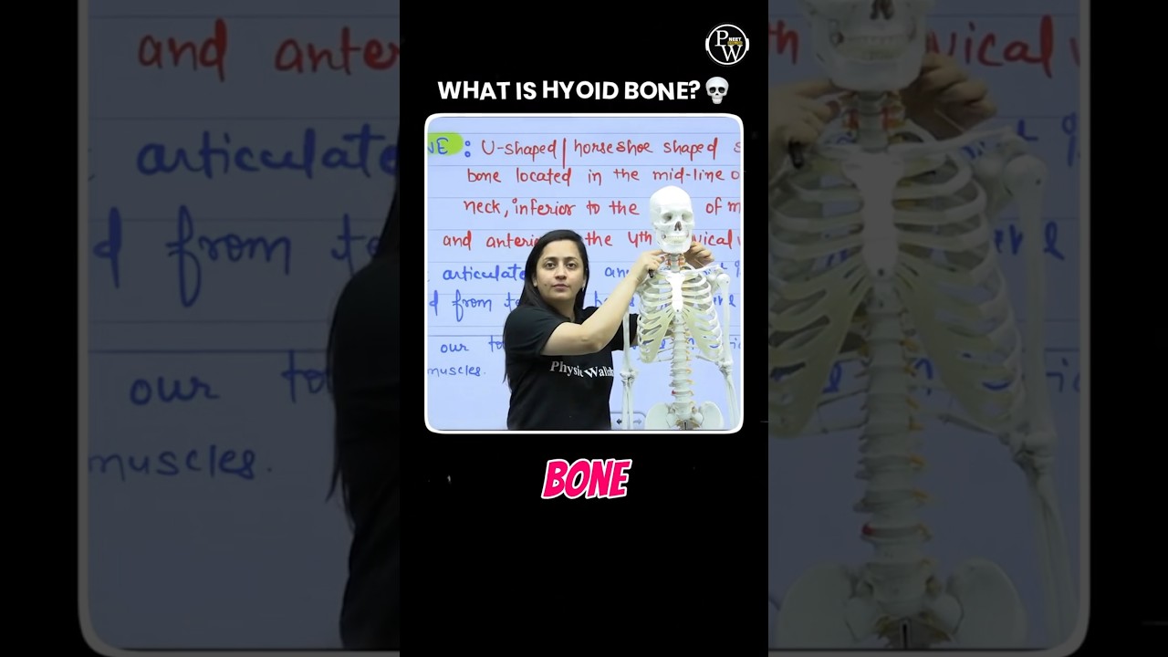 What is Hyoid Bone? 🦴 | NEET Biology in 30 Seconds