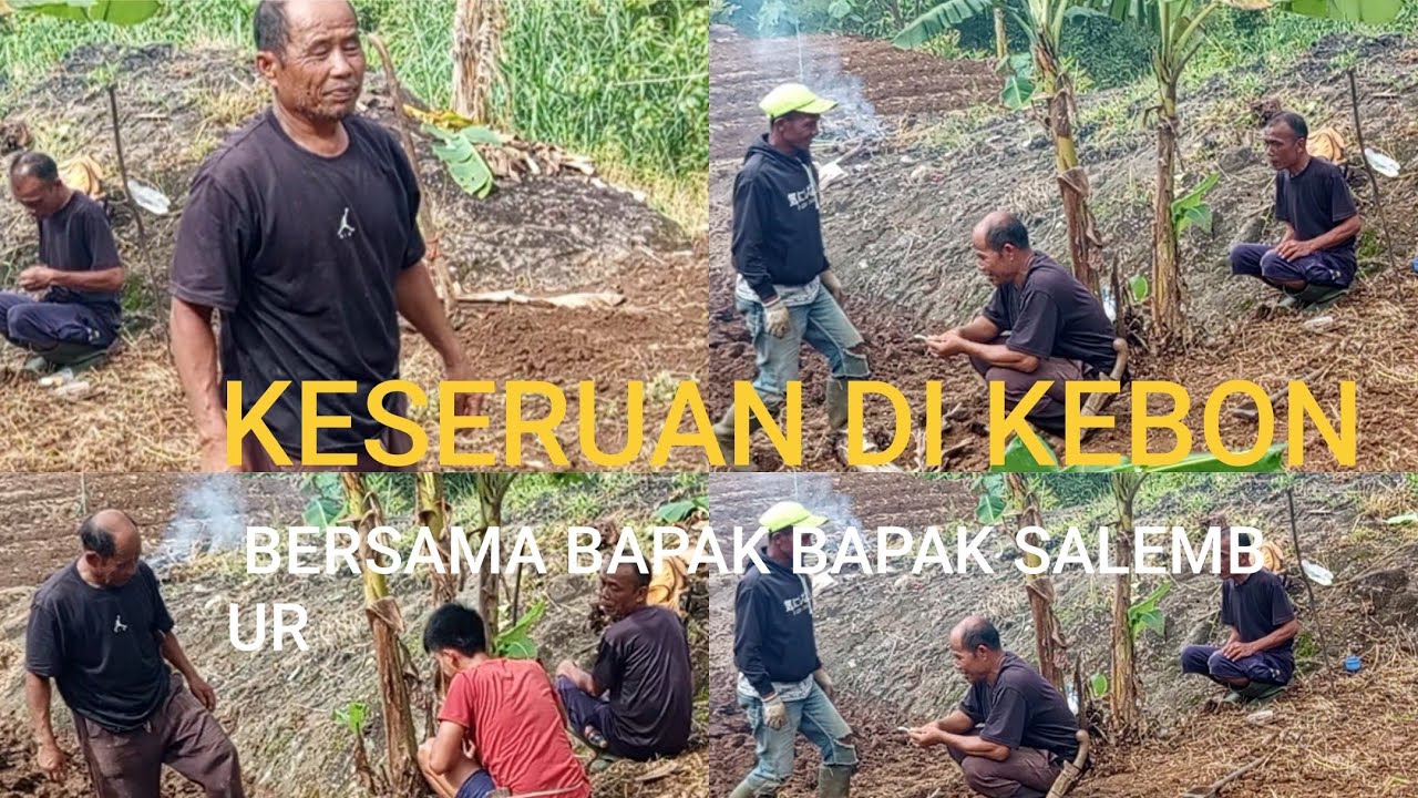 KESERUAN DI KEBUN BERSAMA BAPAK BAPAK