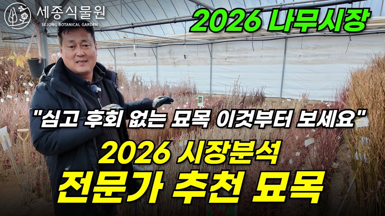2026 나무시장 심기 좋은 나무  전문가가 알려주는 심고 후회없는 묘목 리스트 세종식물원 #묘목 #나무시장 #정원 #조경
