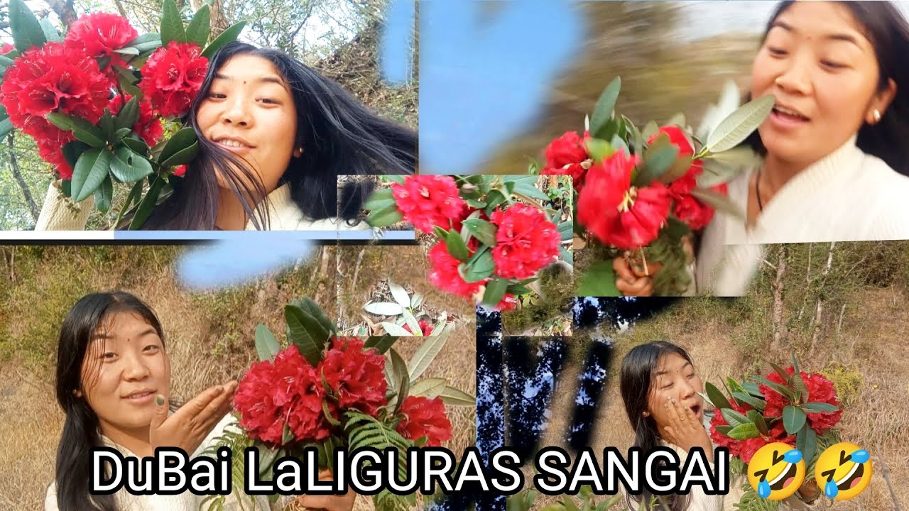 लालीगुराँस सङ्ग रमाउदै😋 (VILLAGE LIFE) DOUBLE गुराँस नानी 🤣🤣