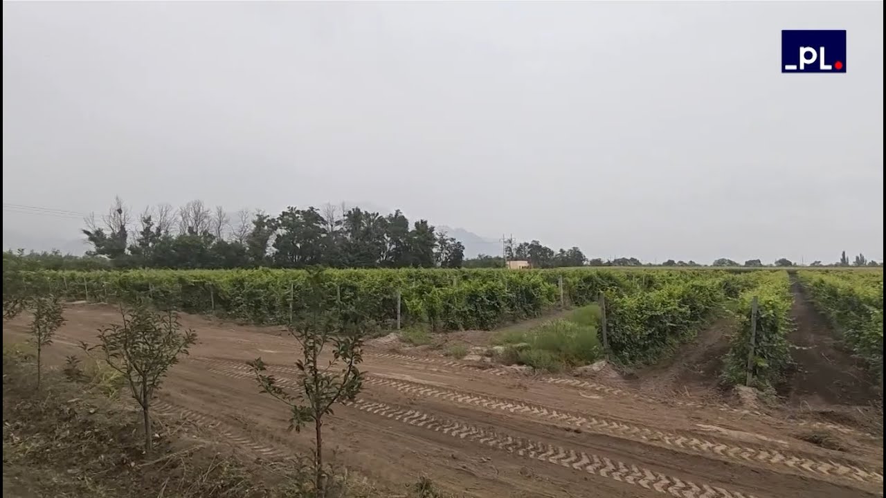 Paseo de vinos por la Montaña Helan, China