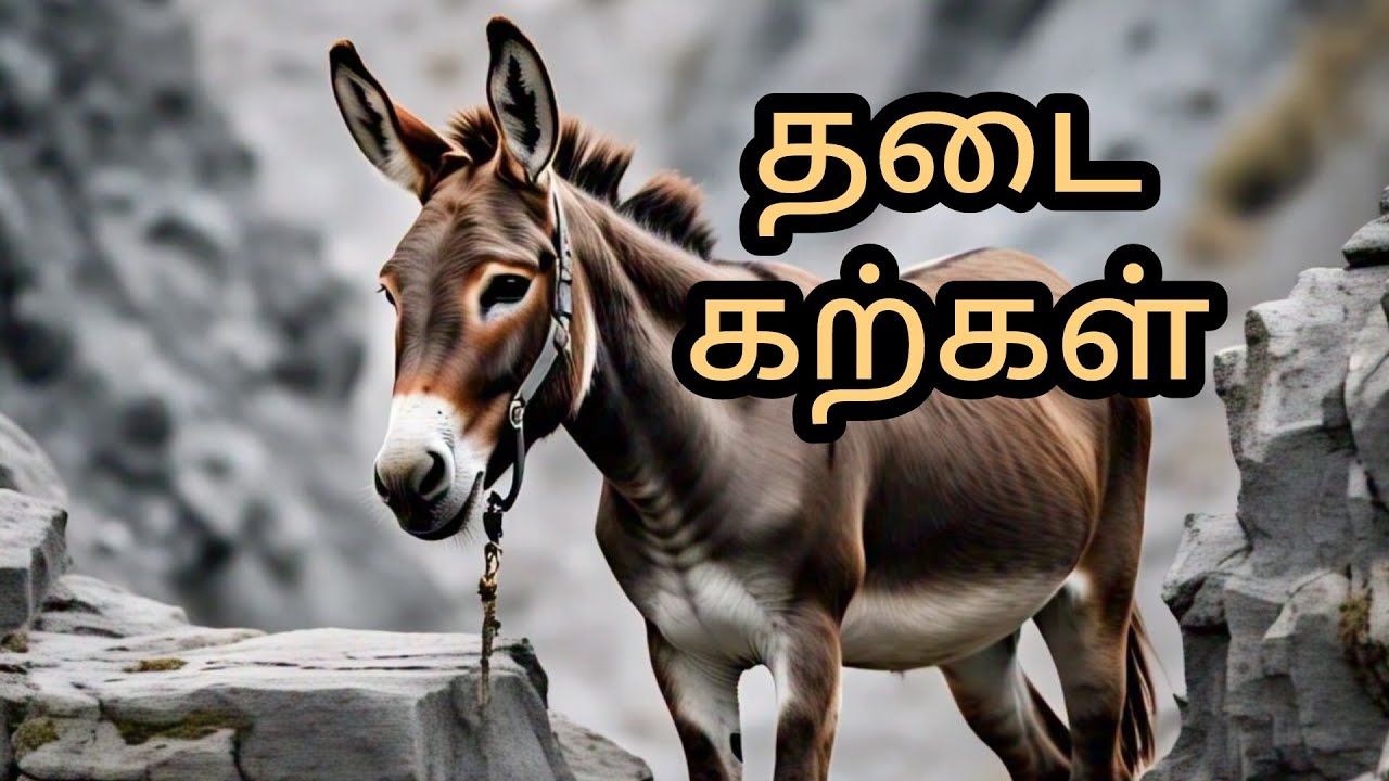 Sunday class stories in tamil/சிறுவர் பள்ளி கதைகள்/Children ministry stories/ஞாயிறு பள்ளி கதைகள்