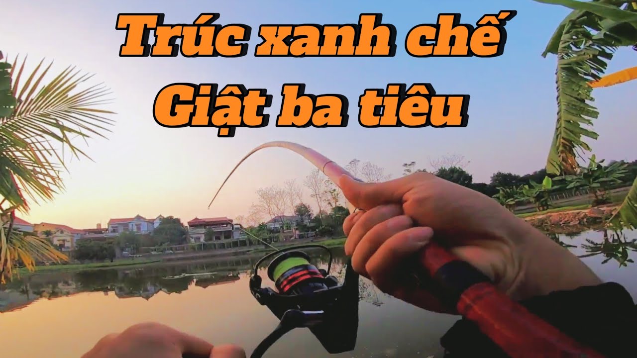 Giật Ba Tiêu Bằng Cần Trúc Xanh Va Hàng | Chuyện Câu Cá