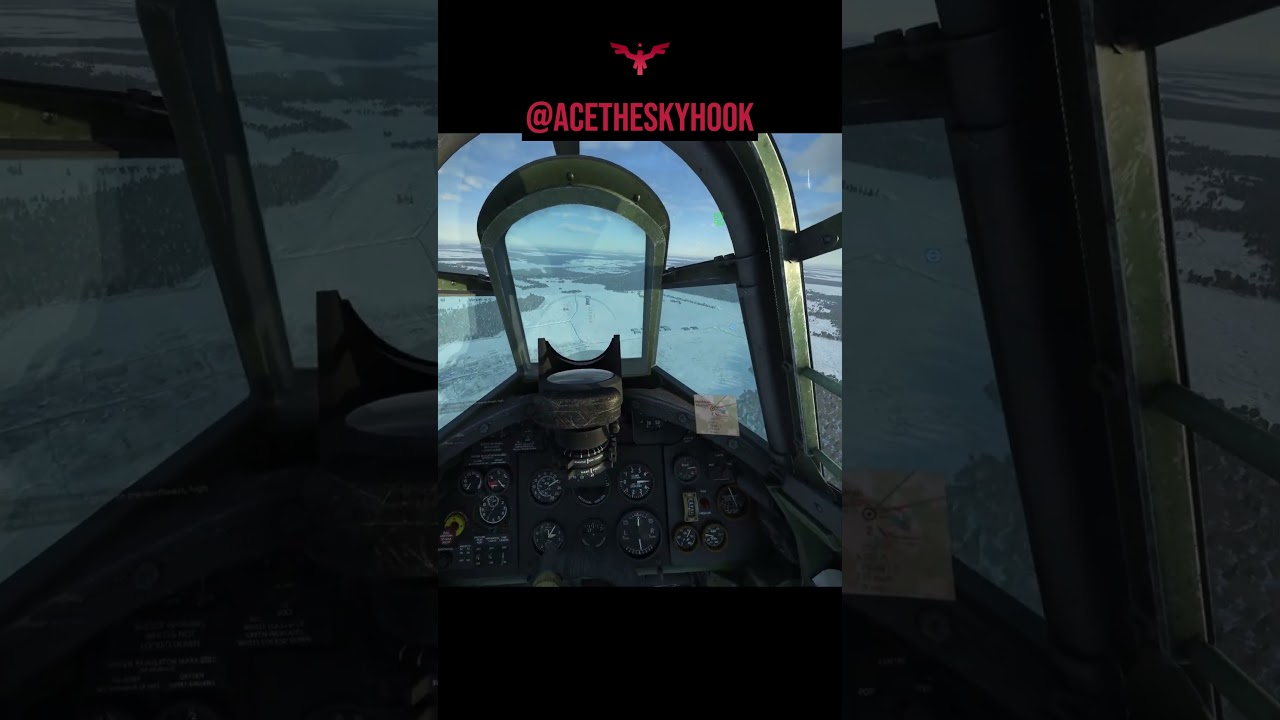 Straffing with 40 mm - Il-2 Sturmovik #il2greatbattles #il2