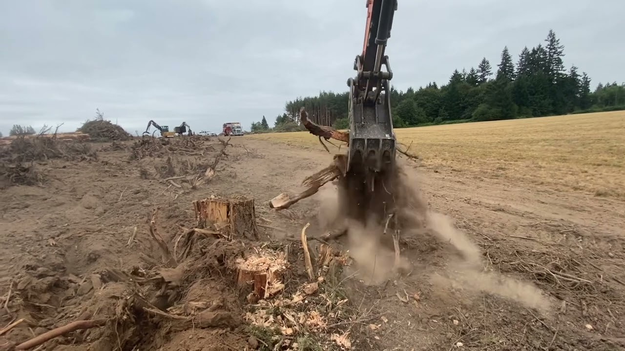 Stumping with the Road builder doosan 300